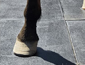 Piso de hule para caballerizas 2