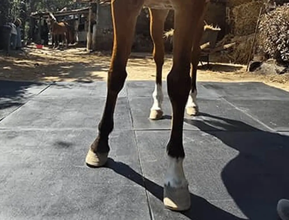 Pisos de hule para caballerizas